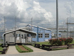 Wilcox State Prison