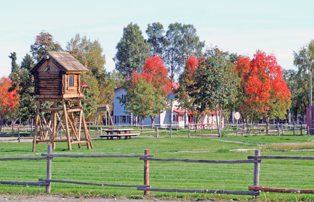 Point Mackenzie Correctional Farm